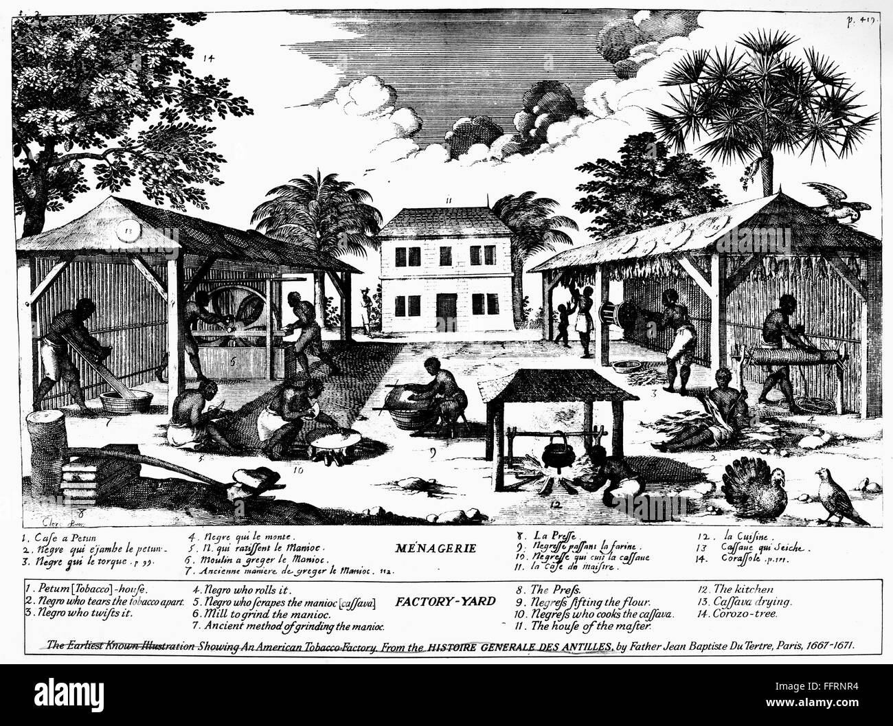 TOBACCO PLANTATION, c1670. /nAfrican slaves working on a tobacco plantation  in the French West Indies. Line engraving from 'General History of the  Antilles' by Father Jean Baptiste Du Tertre, Paris, 1661-1671. This