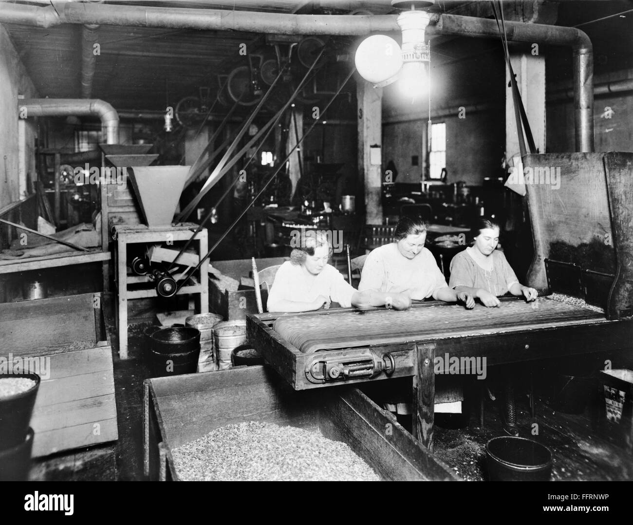 FOOD & NUT COMPANY, c1921. /nThree women at work sorting nuts on a