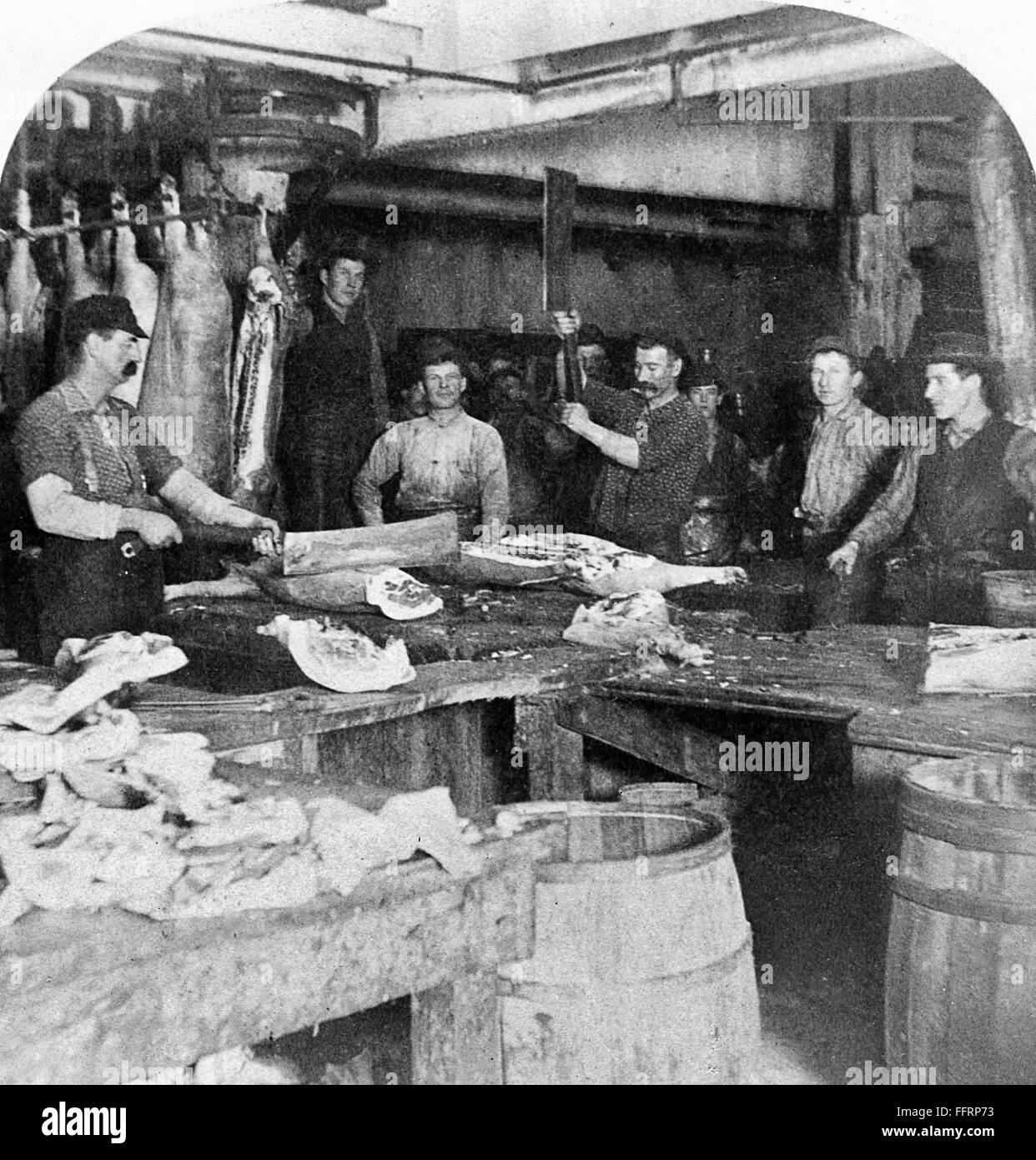 CHICAGO MEATPACKING. /nFactory workers cutting up hogs at the Armour