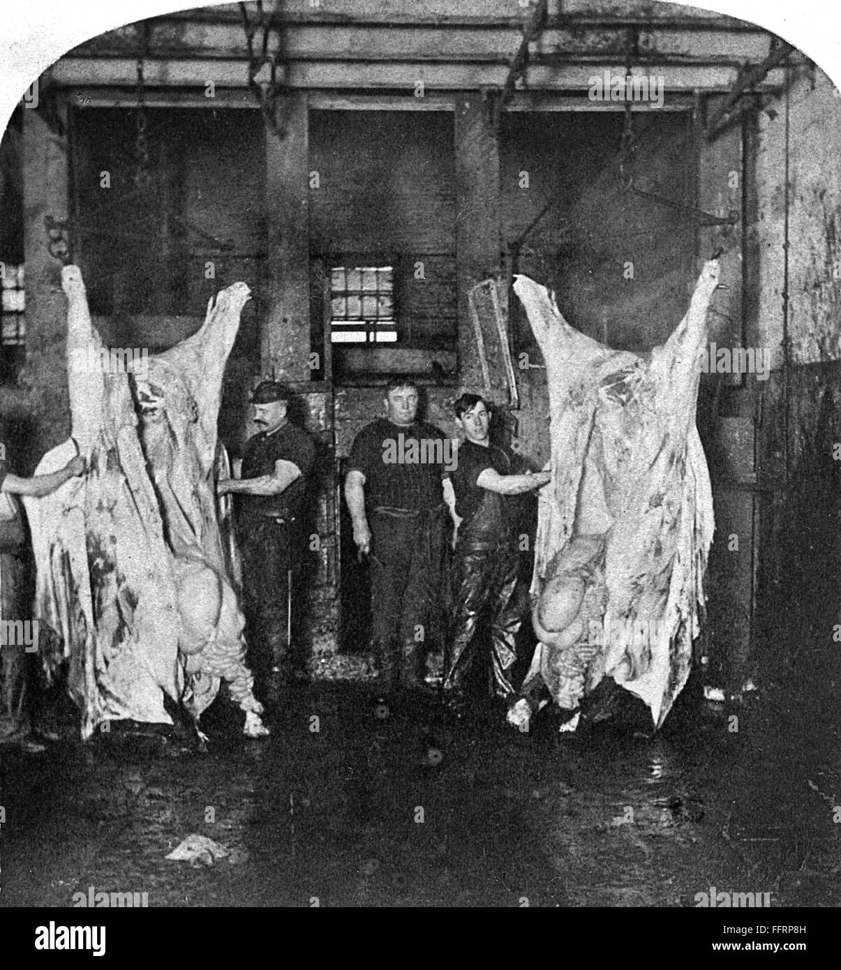 CHICAGO MEATPACKING. /nFactory workers dressing beef at the Armour and