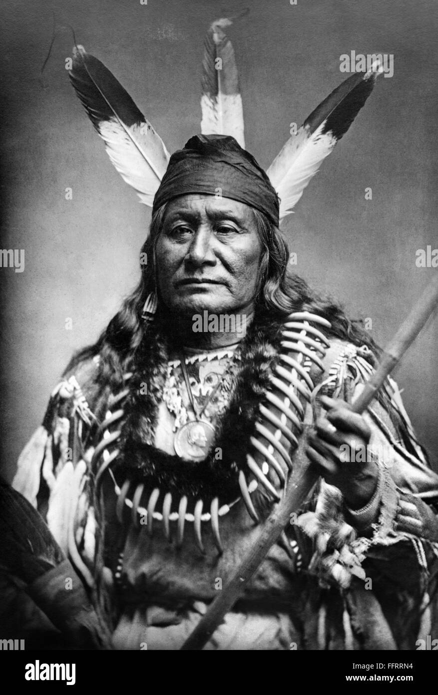Lakota Summers