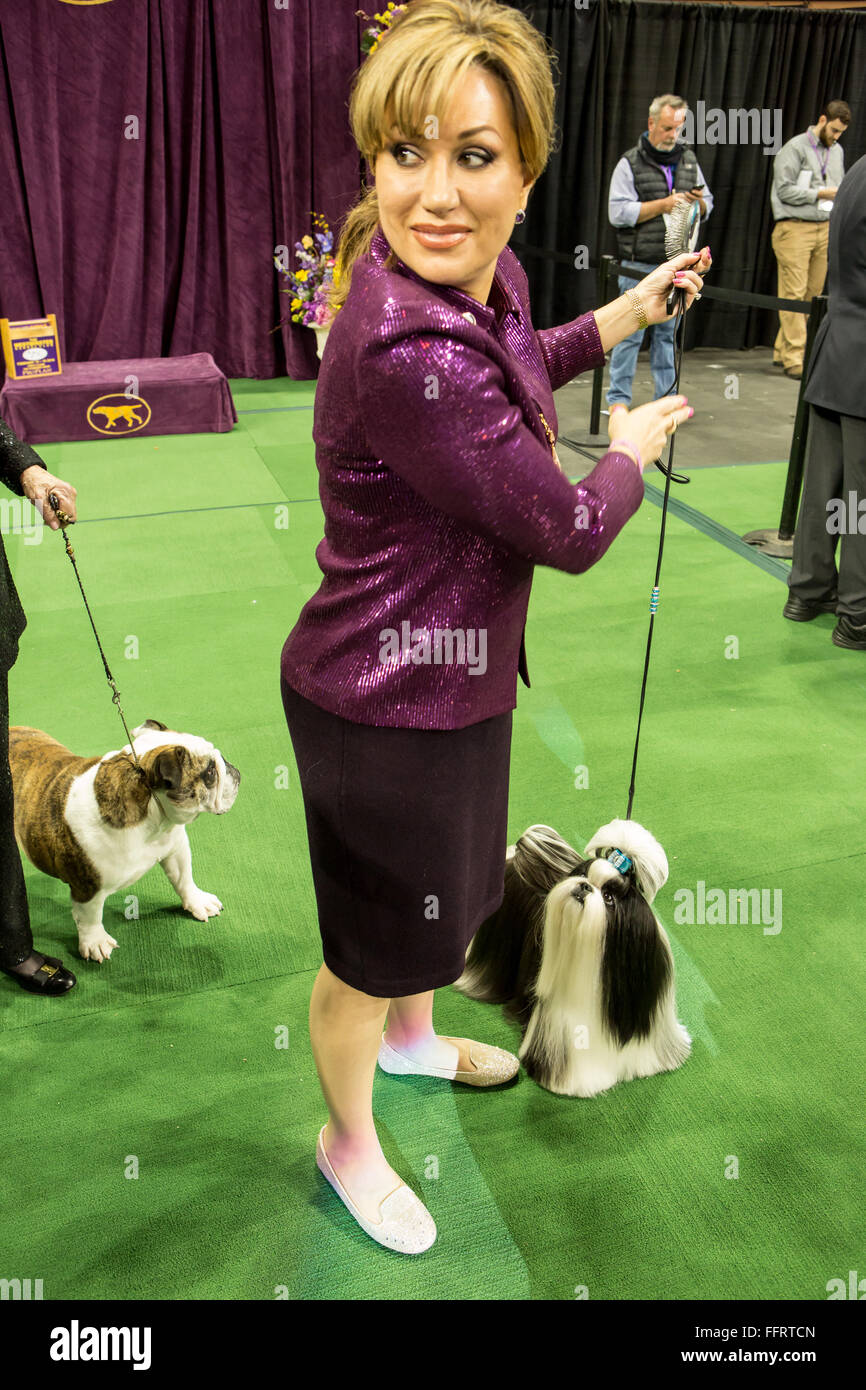 New York, USA. 16th February, 2016. A Shih Tzu with a hair bow looks expectantly at its handler at the 140th Westminster Kennel Club Dog show in Madison Square Garden. Credit:  Ed Lefkowicz/Alamy Live News Stock Photo