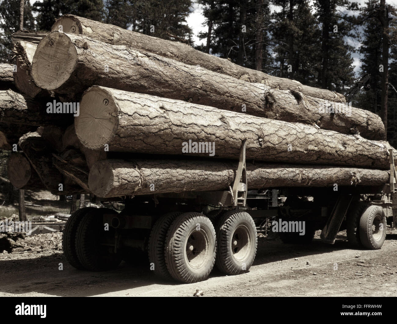 OREGON LUMBER, 1942. /nTruck load of ponderosa pine for the Edward
