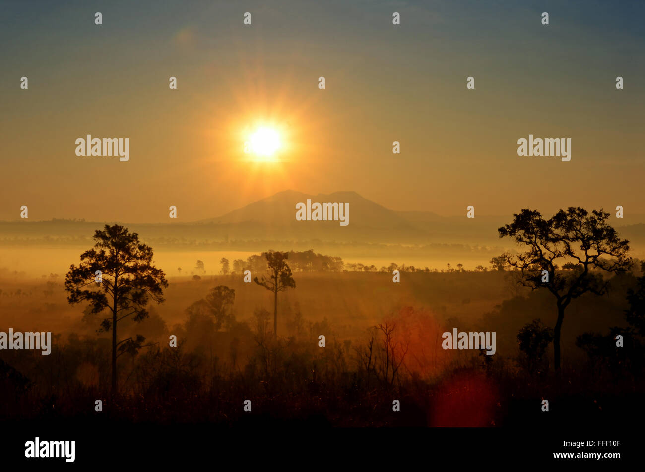 Summer Sunrise and Fog on Savanna Grassland. Stock Photo