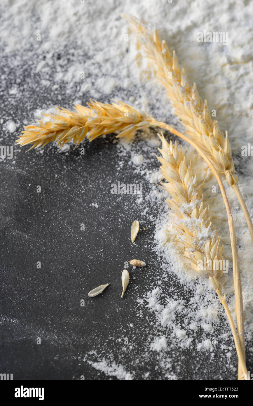 whole flour and wheat ears on black board Stock Photo