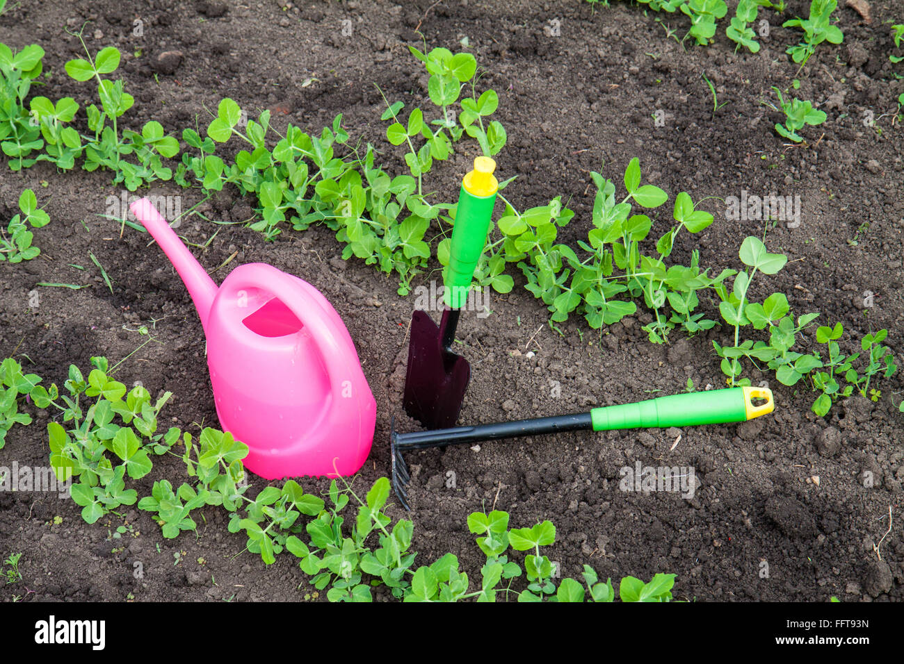 Gardening tools, watering can, plants and soil Stock Photo Alamy