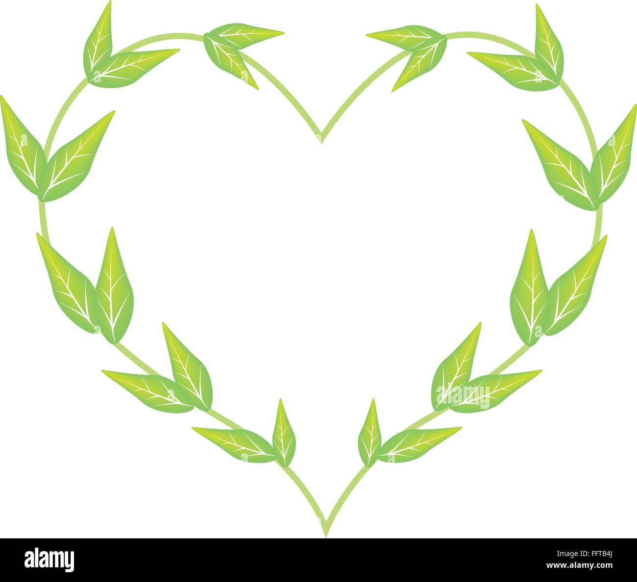 Love Concept, Illustration of Green Leaves Forming in A Heart Shape ...