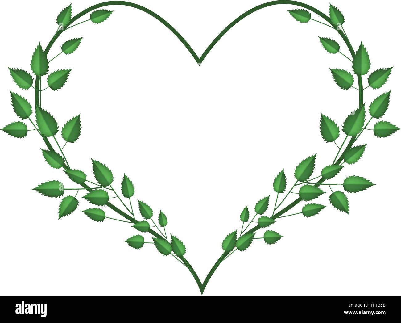 Love Concept, Illustration of Heart Shape Frame Made of Green Vine
