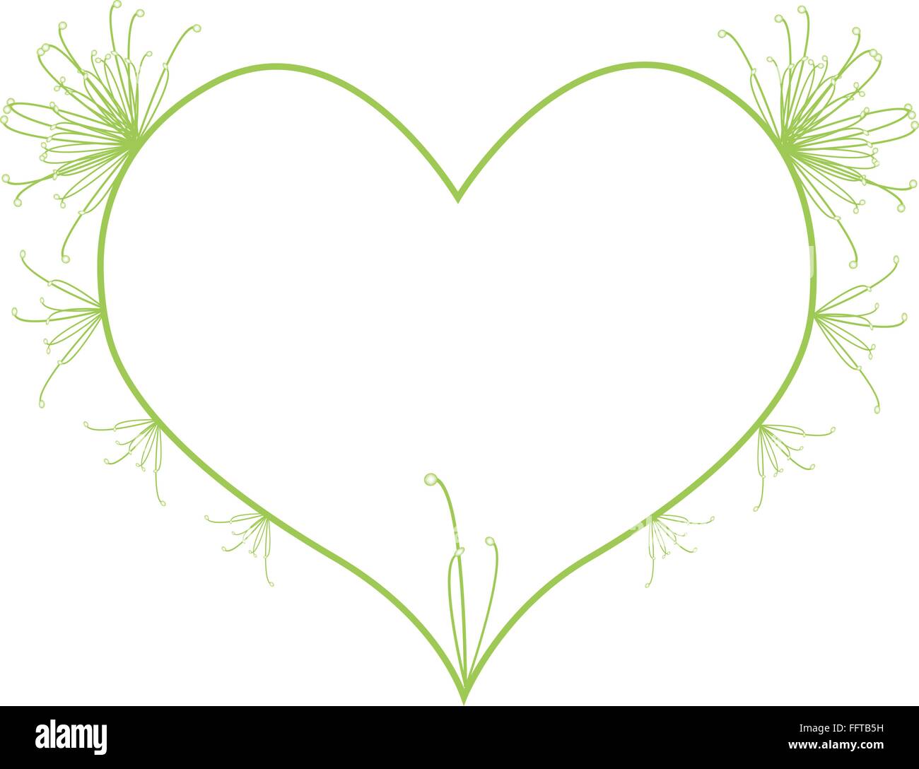 Love Concept, Illustration of Green Egyptian Cyperus Papyrus or Cyperaceae Leaves Forming in Heart Shape Isolated on White Backg Stock Vector