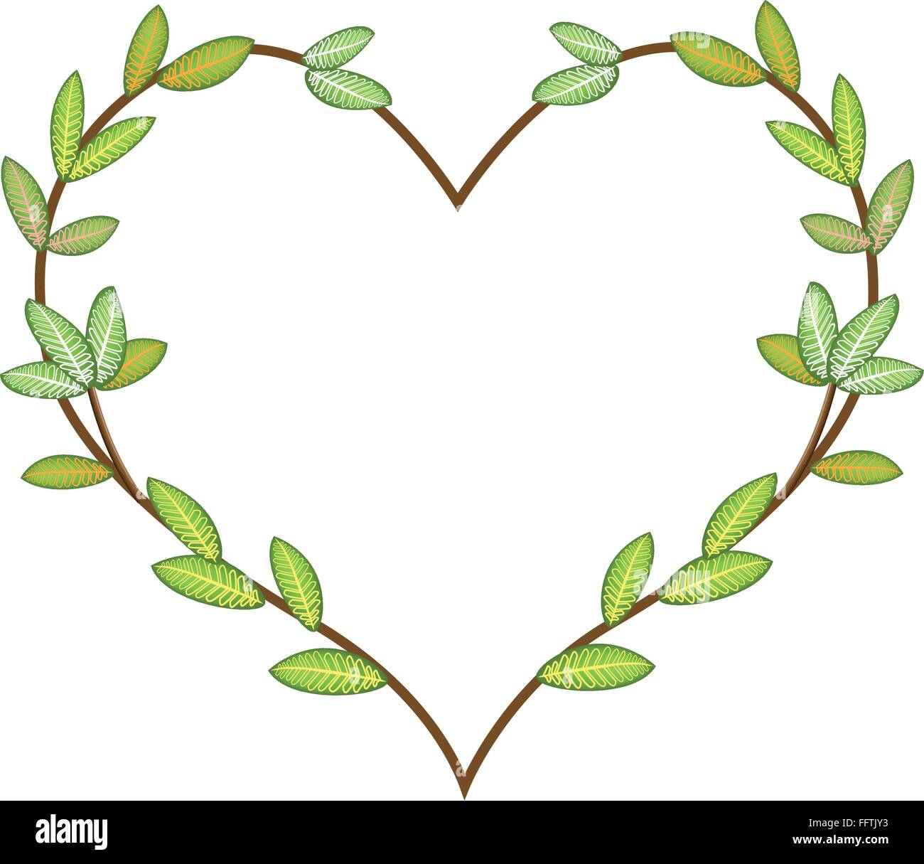 Love Concept, Illustration of Fresh Leaves Forming in Heart Shape ...