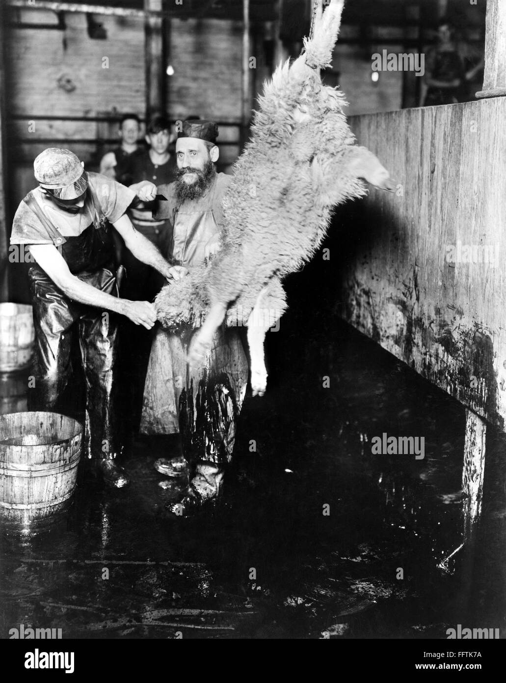 SLAUGHTERHOUSE, c1913. /nJewish factory workers skinning a freshly