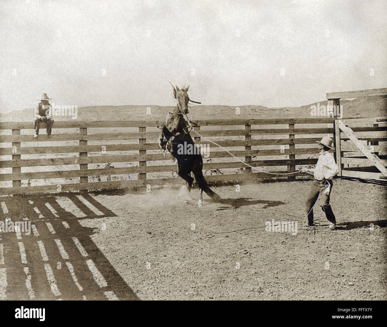TEXAS: COWBOY, c1907. /nA cowboy breaking a horse in a corral on the LS ...