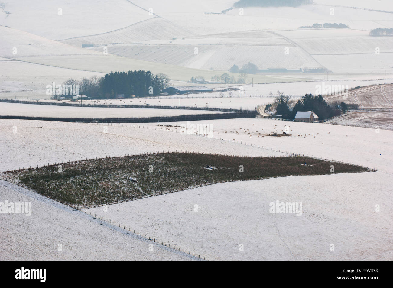 Aberdeenshire farmland in winter from Dunnideer Hill - near Insch ...