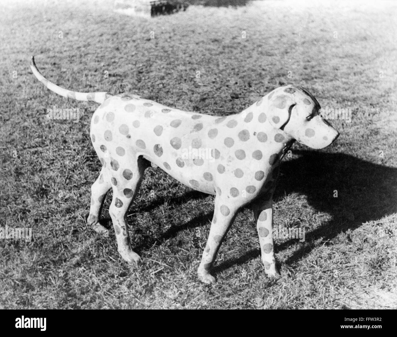 LAWN DOG, 1936. /nPainted lawn ornament. Photographed by Carl Van