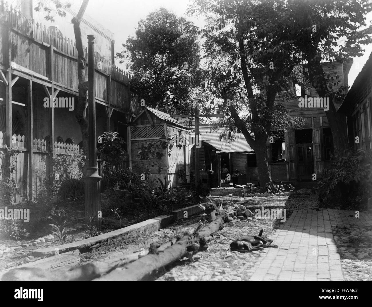 HAITI COURTYARD. /nCourtyard of a typical residence in PortauPrince