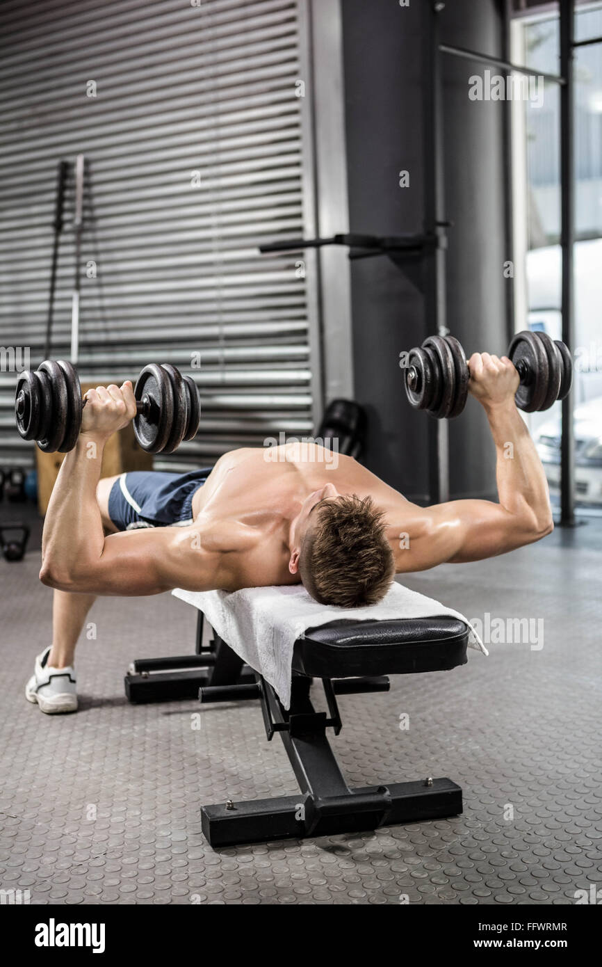 Shirtless man lifting heavy dumbbells on bench Stock Photo Alamy