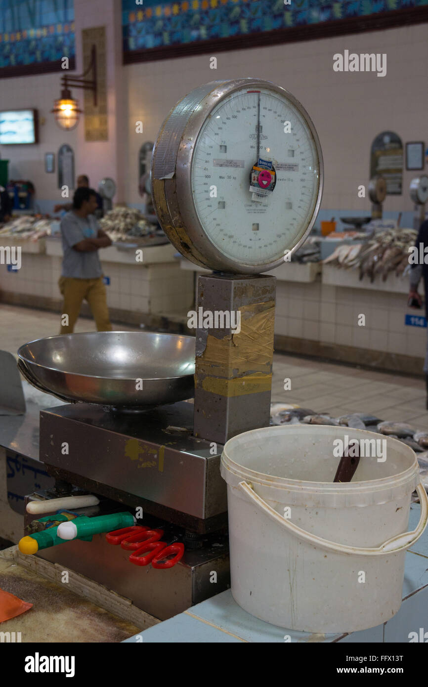 fish measuring scales