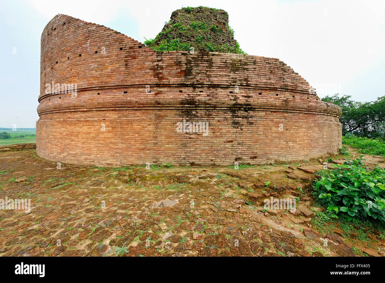 Stupa 1400 feet in circumference 51 feet high and dome about 70 feet , Kesariya , Bihar , India Stock Photo