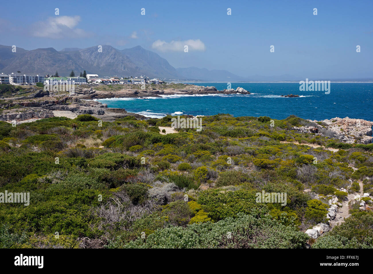 The seaside village of Hermanus along the Walker Bay coastline of the