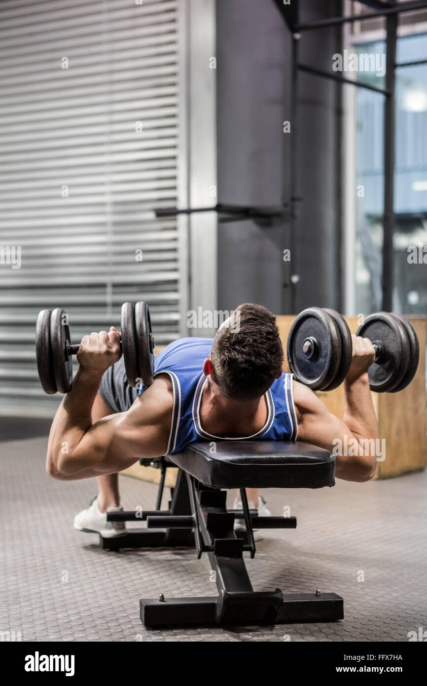 Muscular man on bench lifting dumbbells Stock Photo Alamy