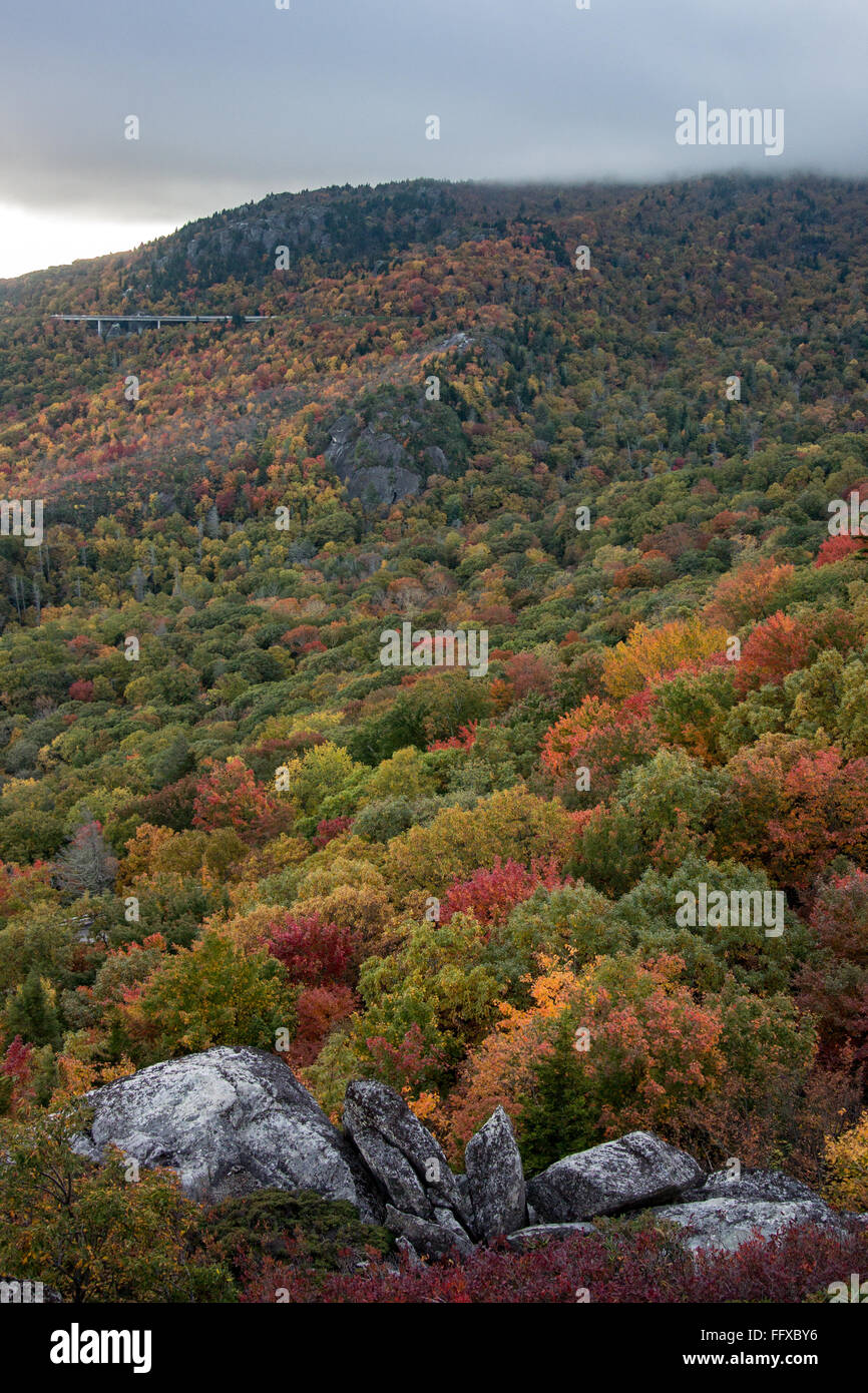 Linn Cove Viaduct in Fall Surrounded by Changing Leaves in the Mountains Vertical Image Stock Photo