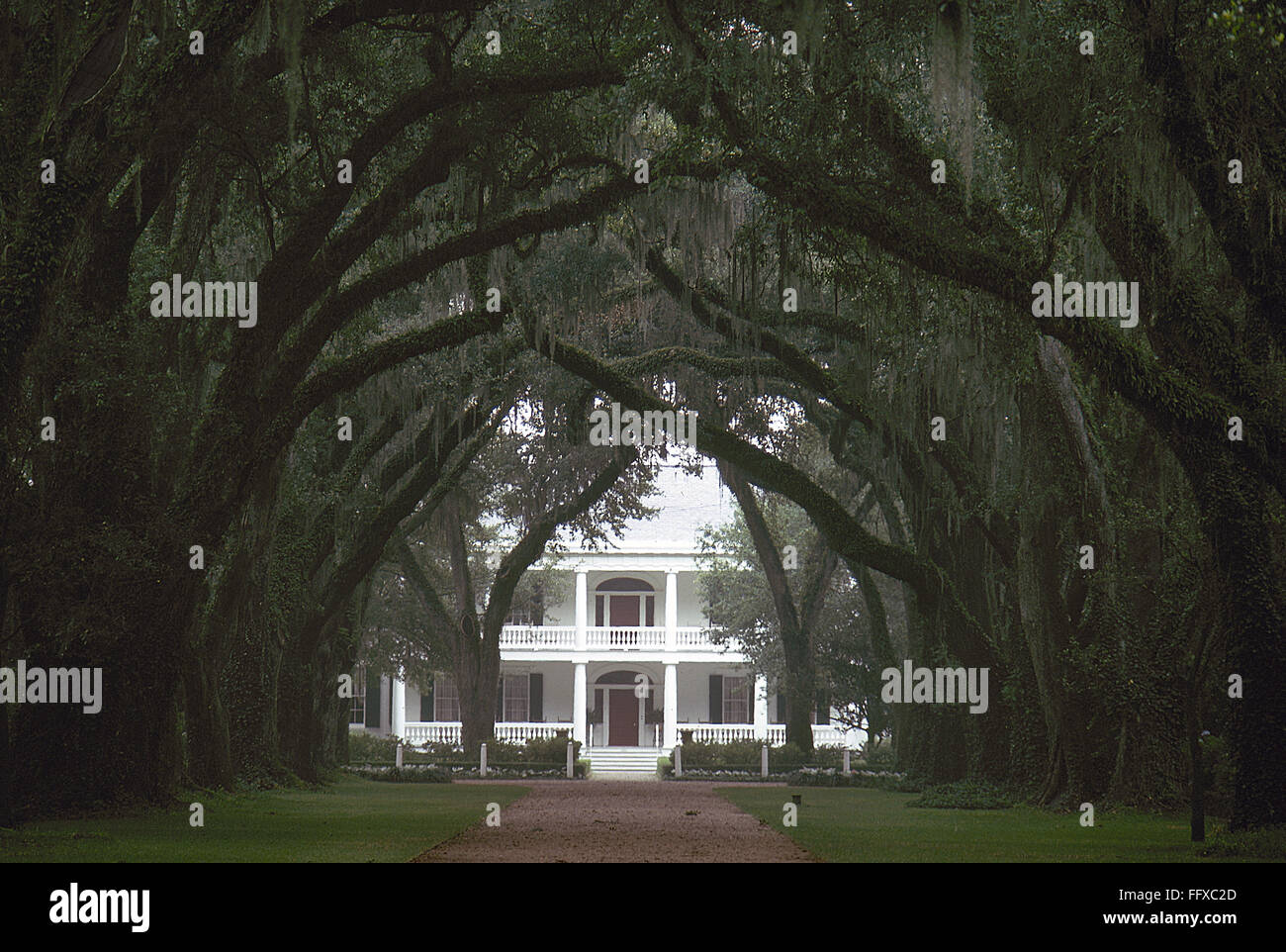 ROSEDOWN PLANTATION. /nA view of the main house at Rosedown Plantation