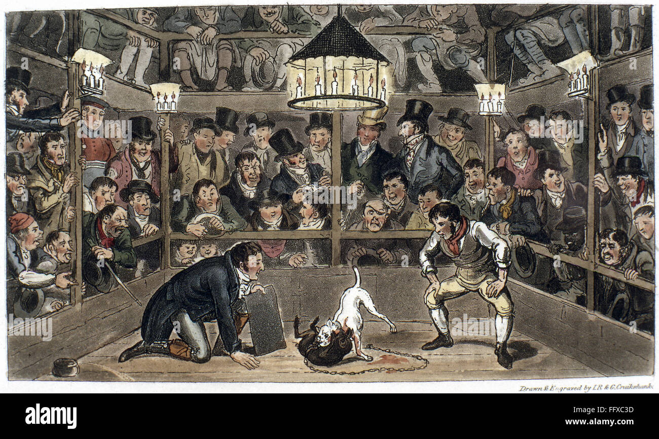 絵画 PITS Monkey MONKEY-BAITING, 1821. /n'Tom and Jerry Sporting Their Blunt on the