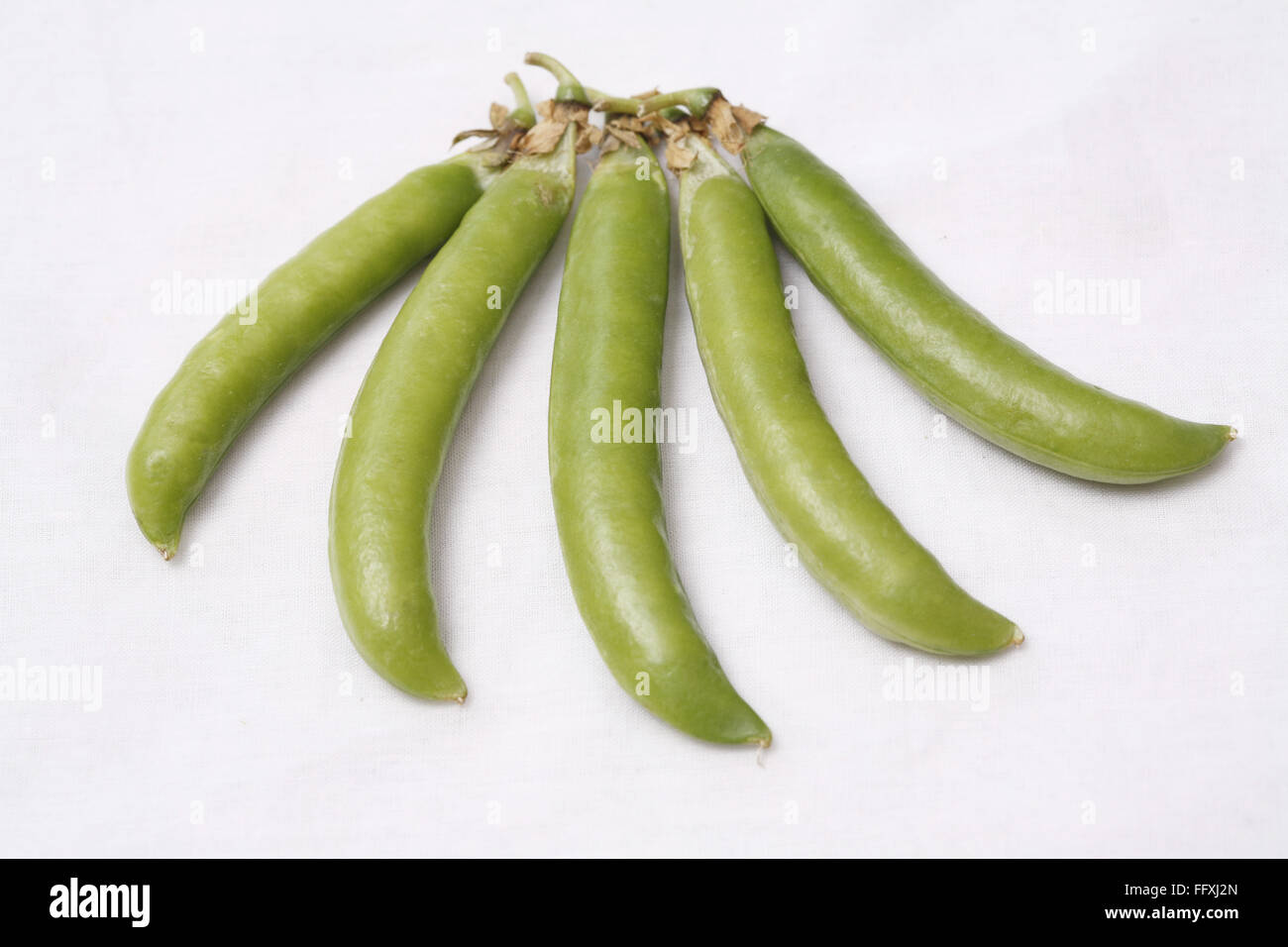 Vegetable , Green Pea pods Pisum sativum arranged as five fingers of hand on white background Stock Photo