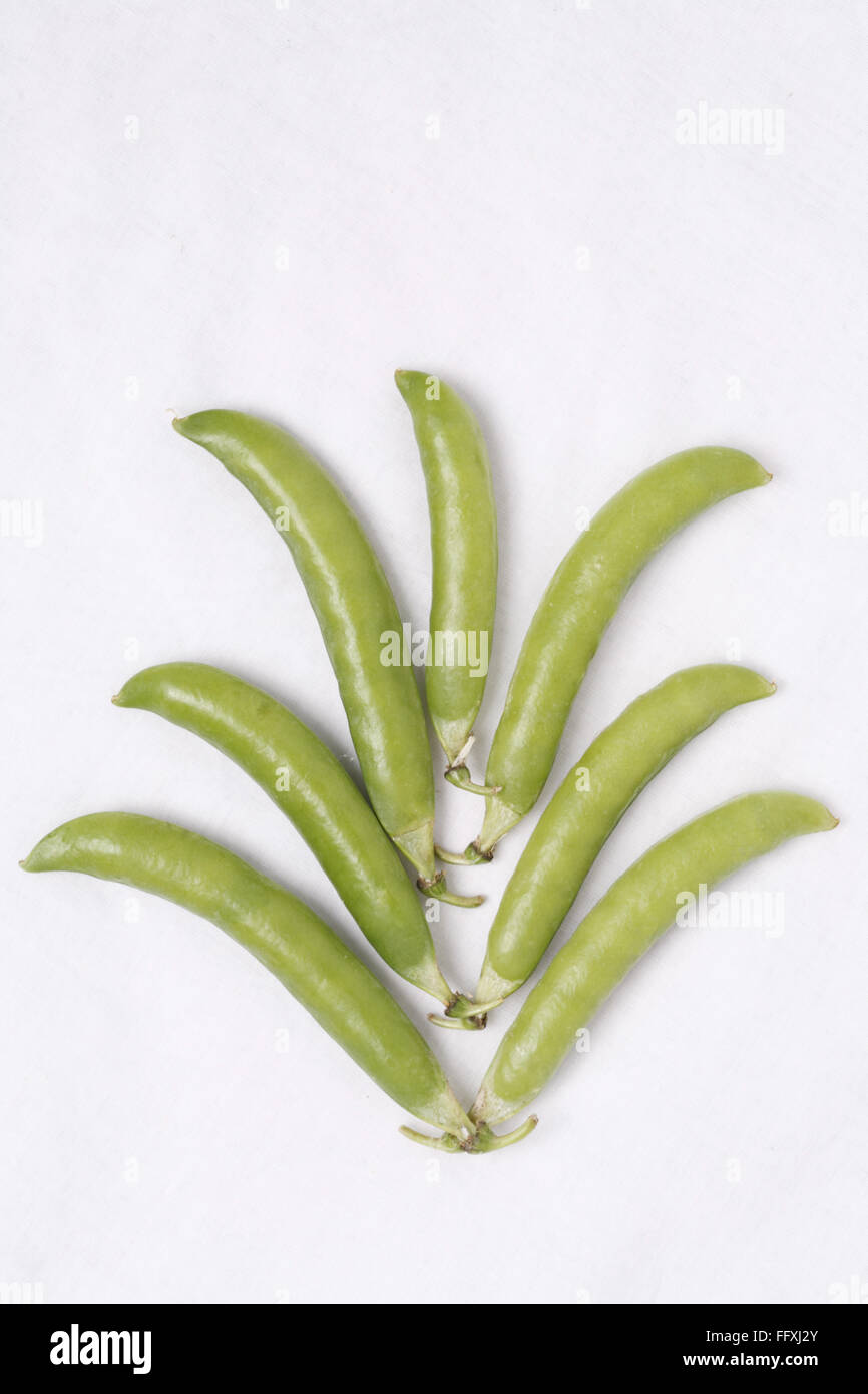Vegetable , Green Pea pod Pisum sativum arranged as tree on white background Stock Photo