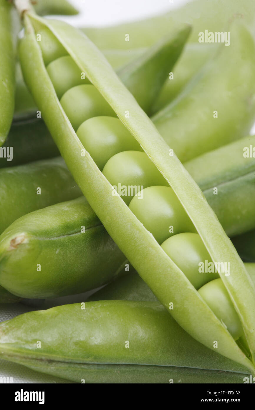 Vegetable , Green Pea pod Pisum sativum slightly opened pod kept on ...