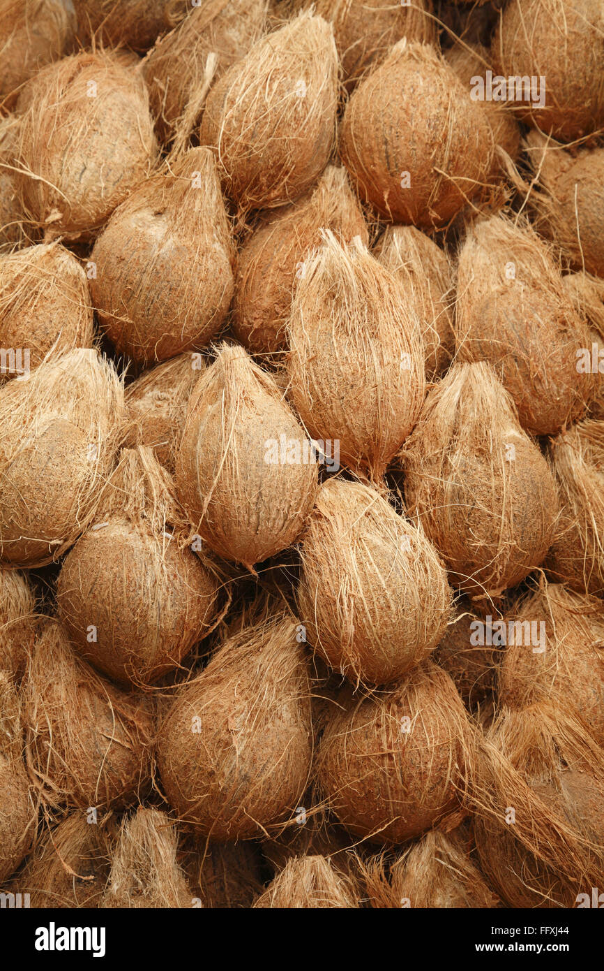 Heap of peeled off coconuts Cocos nucifera Stock Photo Alamy