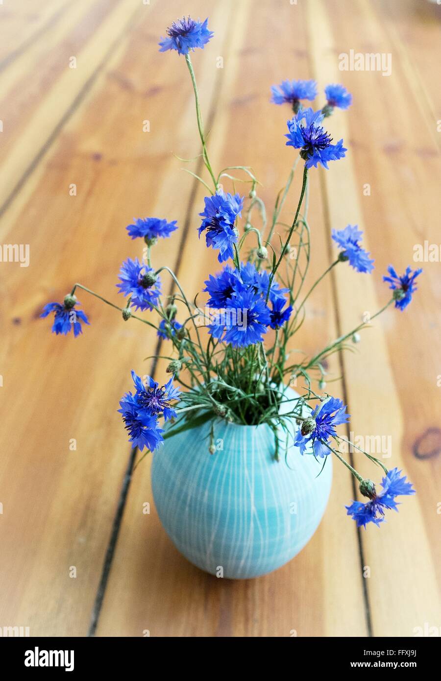 Bunch of blue flowers hires stock photography and images Alamy