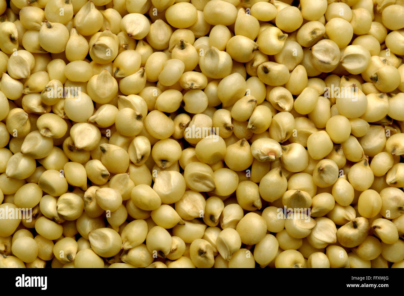 Juar hires stock photography and images Alamy