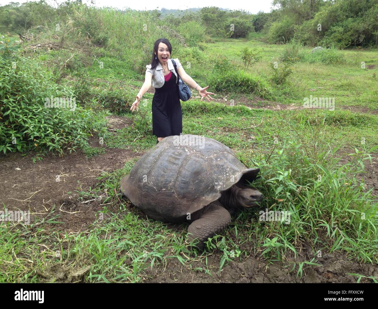 Portrait Of Young Asian Woman With Giant Tortoise Stock Photo