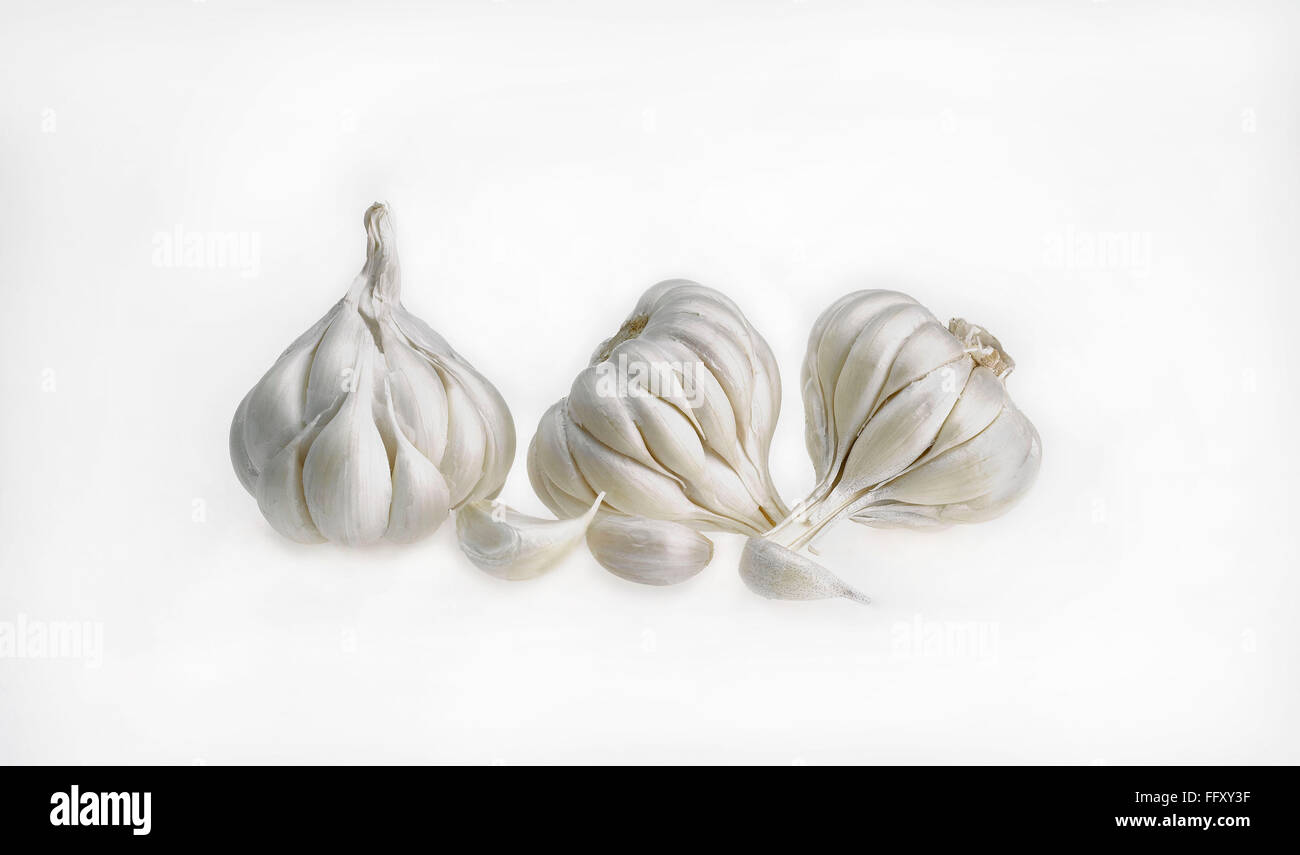 Spices , Bulb Crop or garlic used for adding flavour in cooking Stock Photo