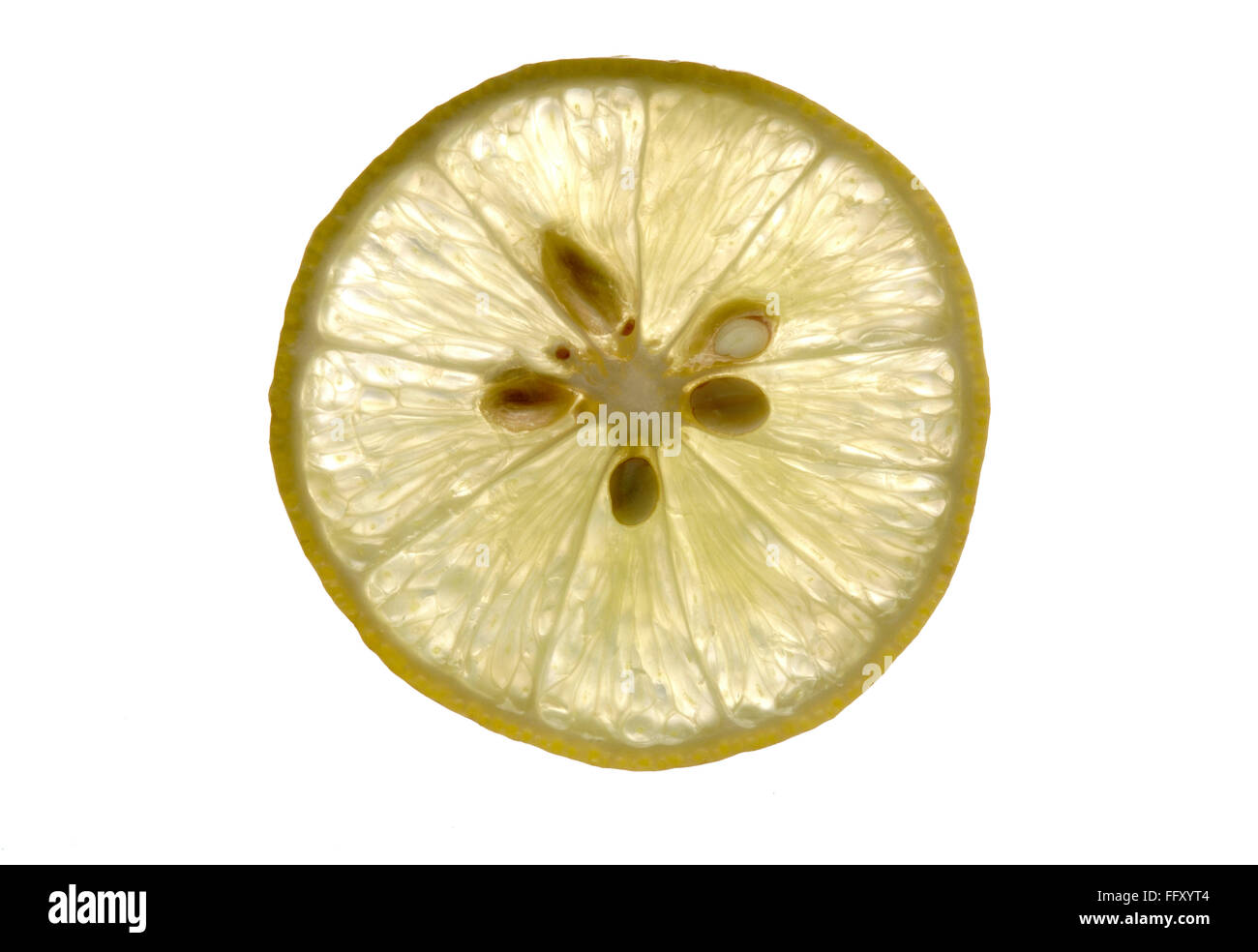 Fruit , lemon slice with nutritive value , India Stock Photo