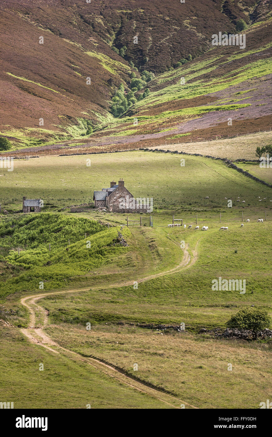 Derelict Croft & Mountains at Glen Feugh in Scotland. Stock Photo