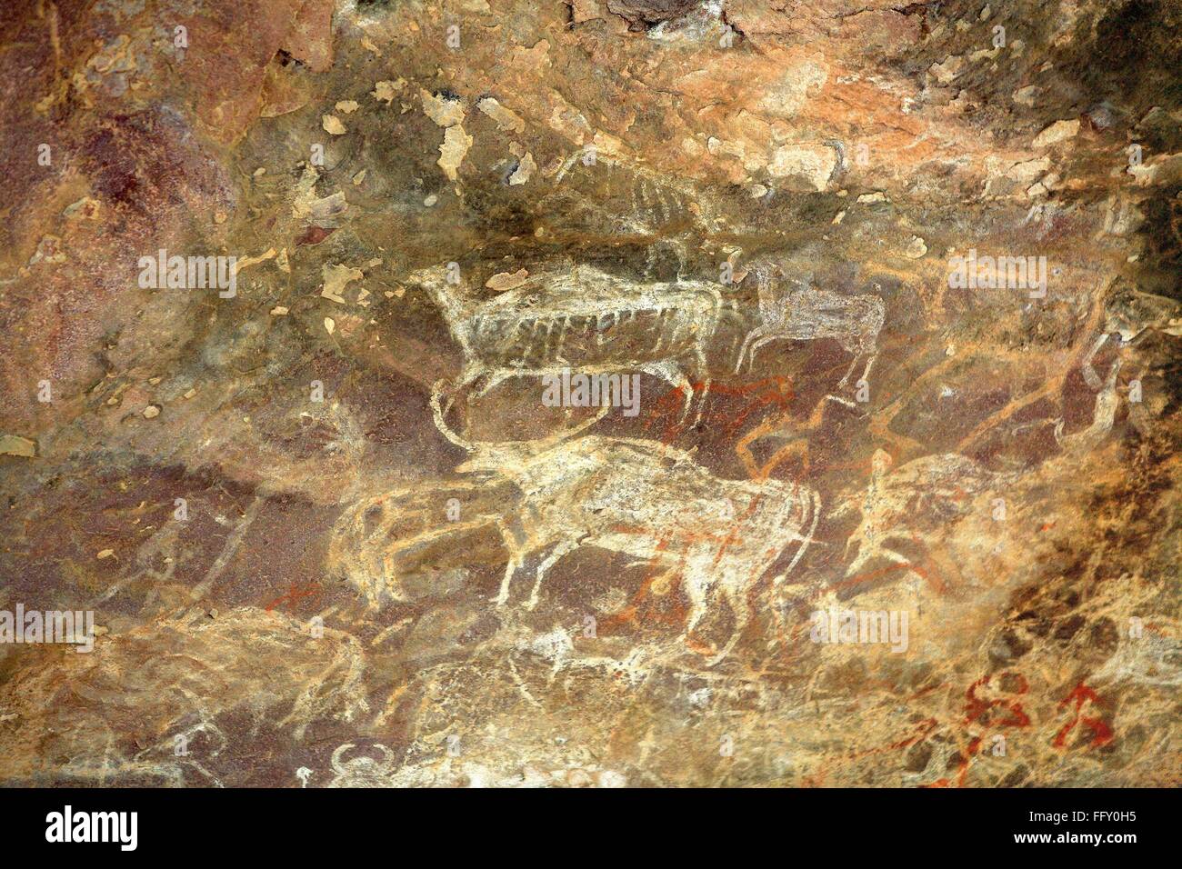 Cave Paintings Showing Animals On Rock Shelters No 4 Ten Thousands Years Old At Bhimbetka Near ...