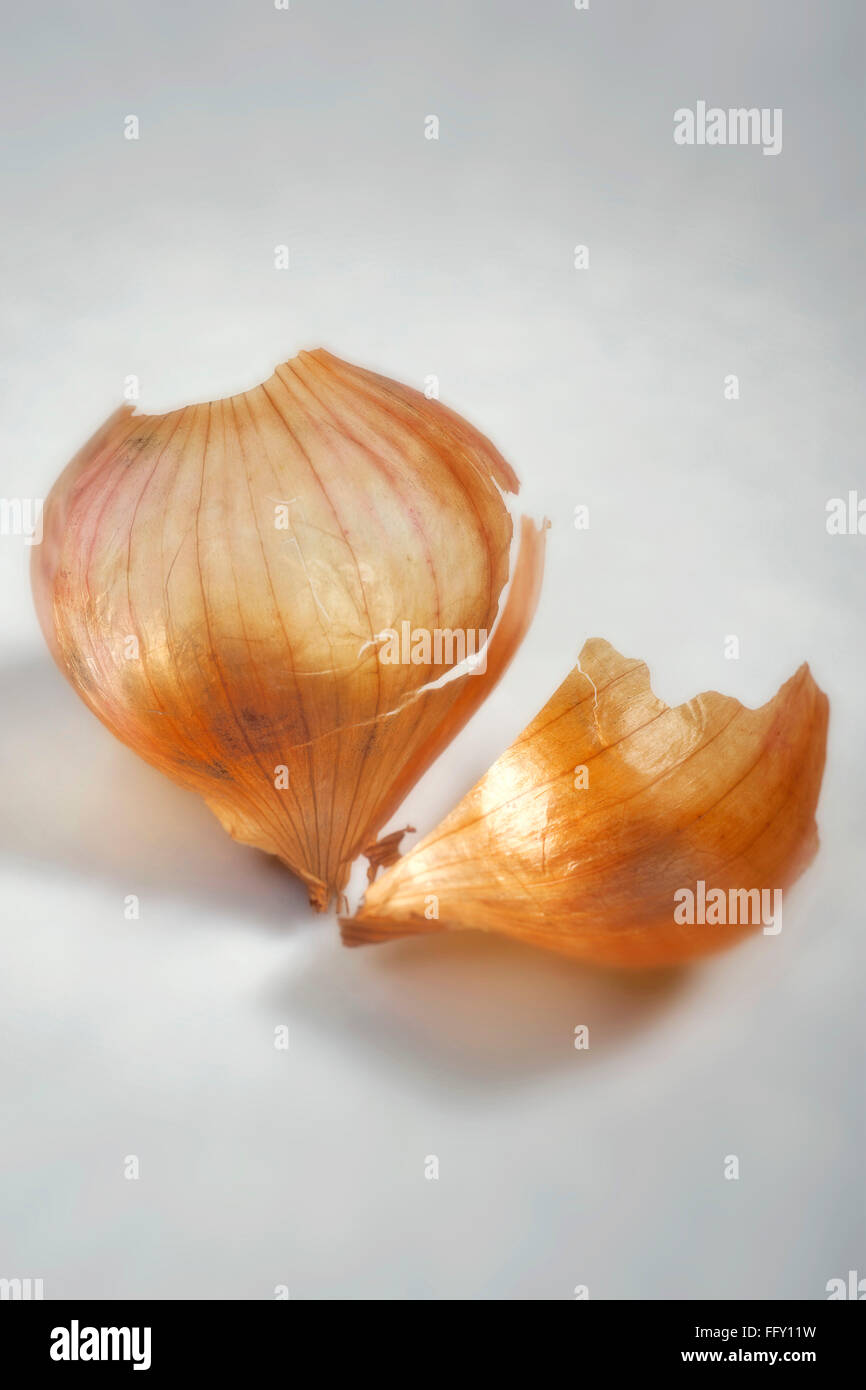 Concept , onion skin on white background Stock Photo Alamy