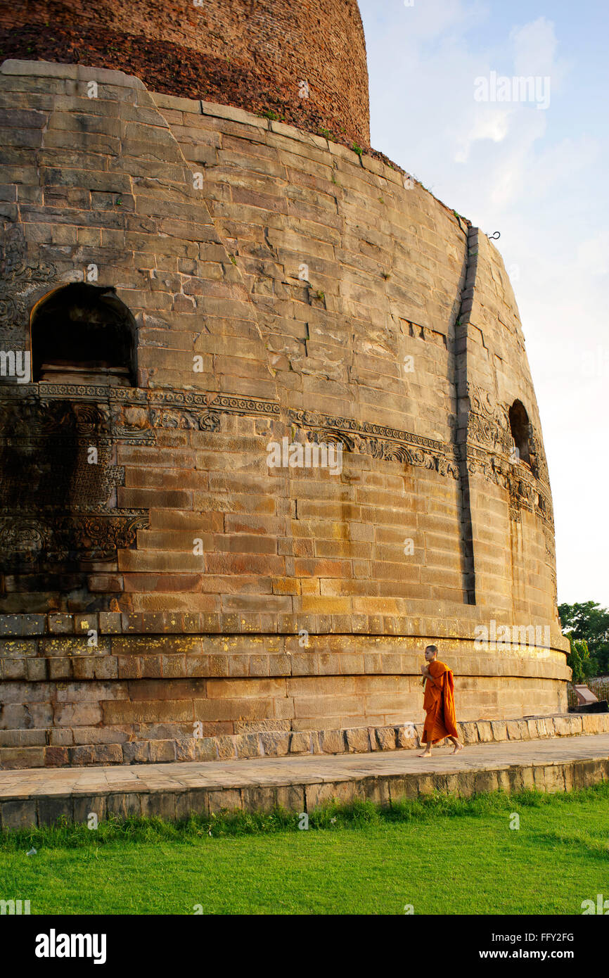 Buddhist monk at Dhamekh stupa Fifth century A.D. Sarnath near Varanasi , Uttar Pradesh , India Stock Photo
