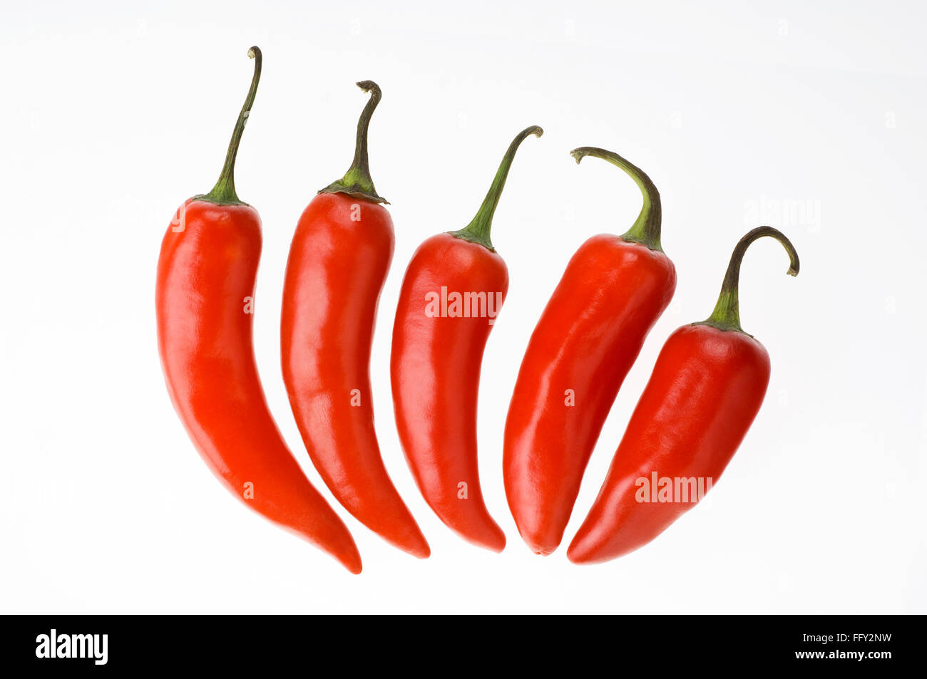 Indian spices , five red chilly or chillies capsicum annuum on white background Stock Photo