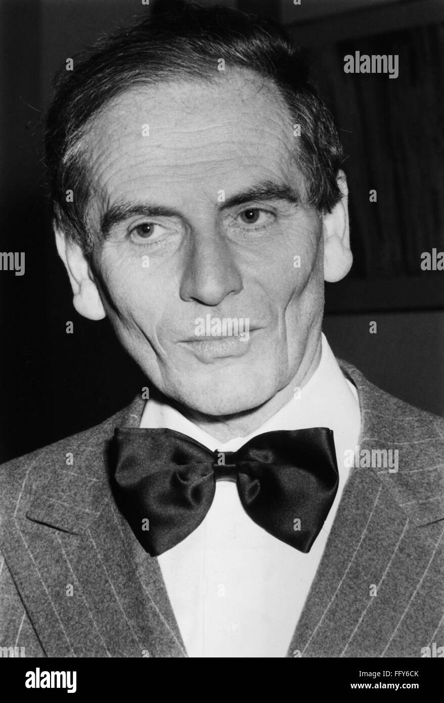 pierre cardin bow tie