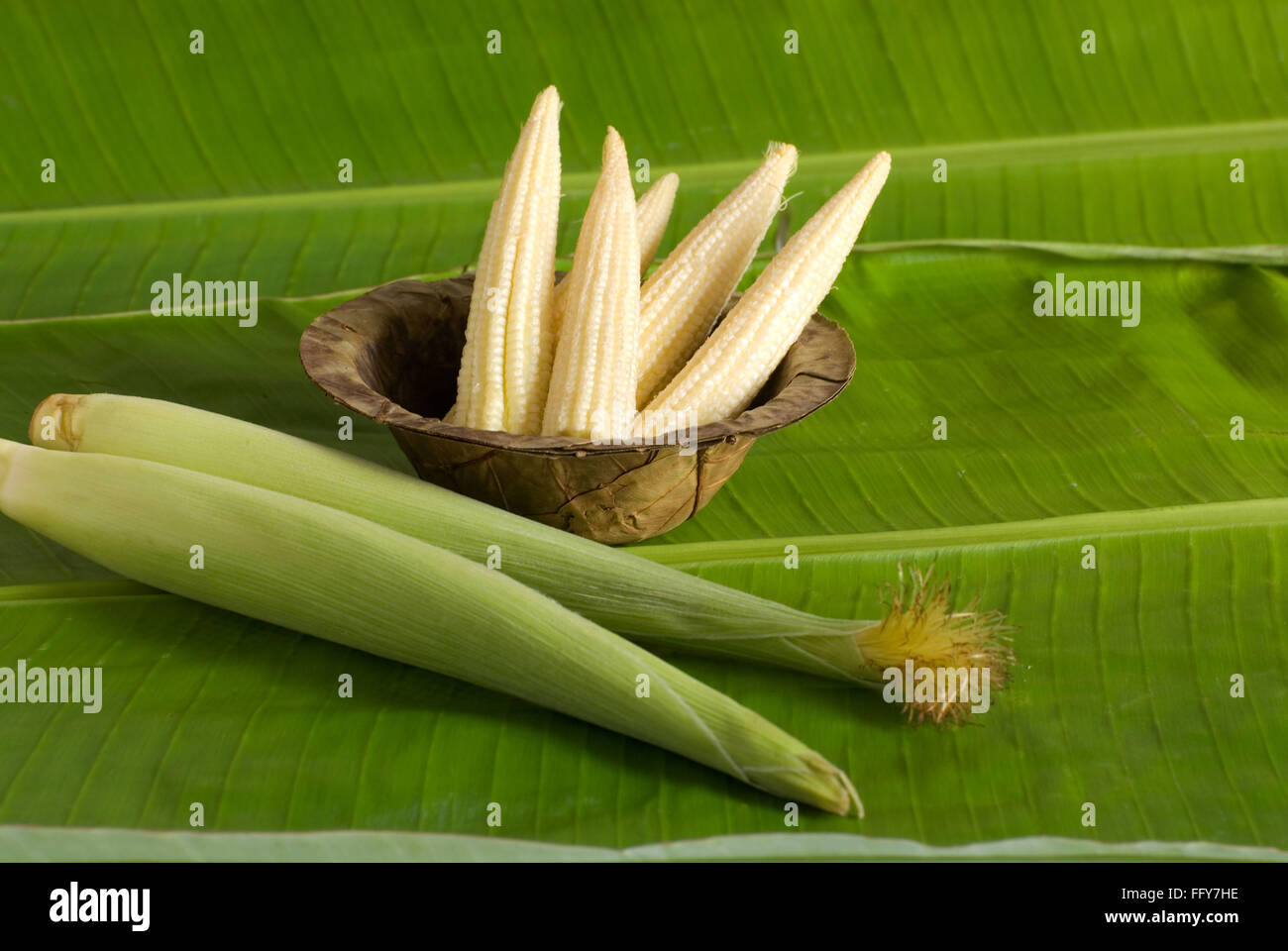 Food , Baby corns in husks on banana leaf Stock Photo