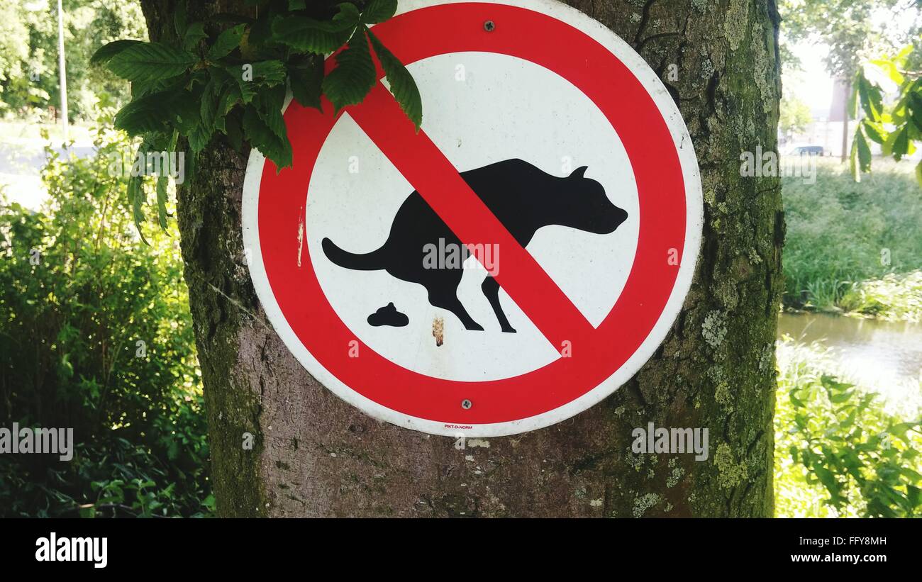 No Dog Feces Signboard On Tree Outdoors Stock Photo