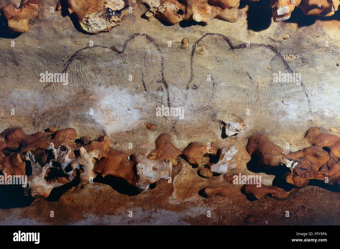 CAVE ART MAMMOTHS. /nTwo mammoths facing each other, painted in black
