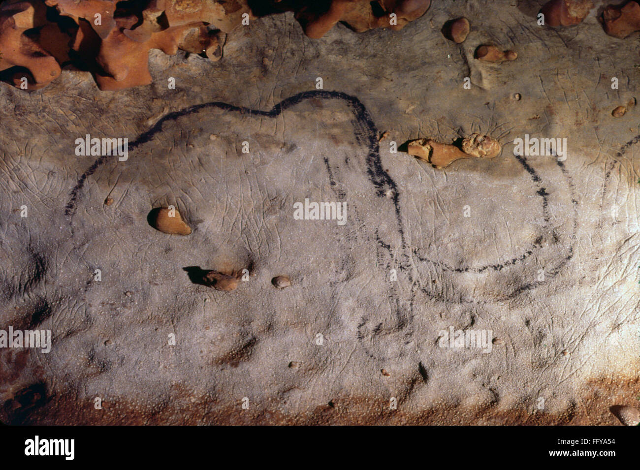 CAVE ART MAMMOTH. /nMammoth painted in black outline, in the