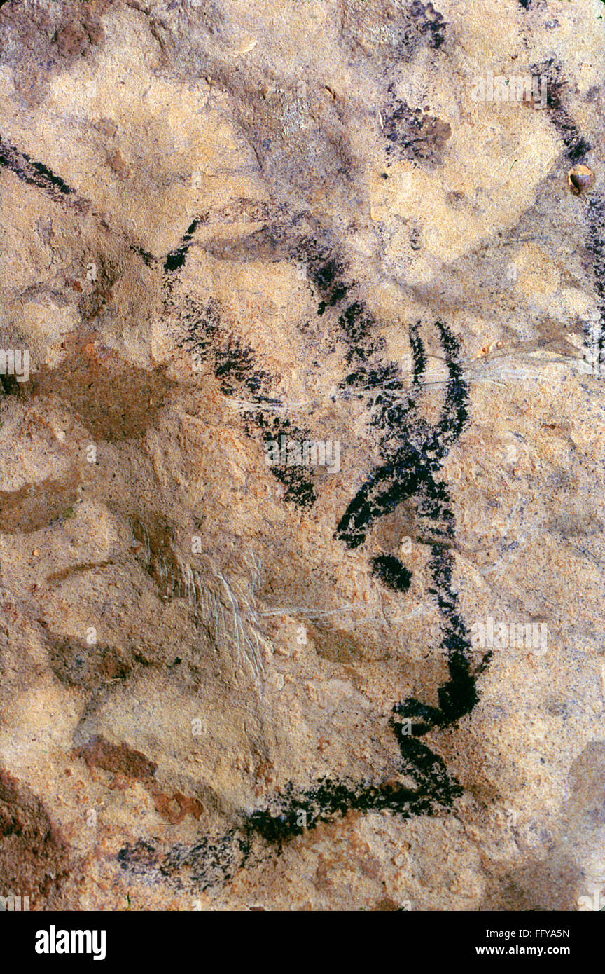 Great Ceiling Rouffignac CAVE ART: BISON. /nHead of a bison, painted in black outline. Detail ...