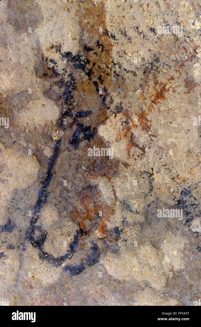 Great Ceiling Rouffignac CAVE ART: HORSE. /nHead of a horse, painted in black outline. Detail ...