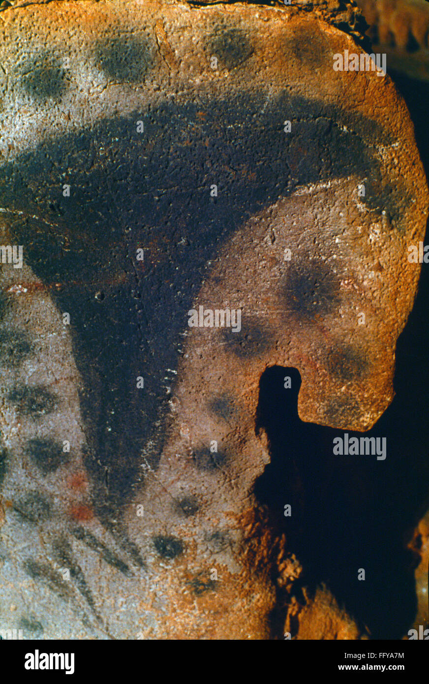 CAVE ART HORSE. /nHead detail from a painting of a dotted horse on