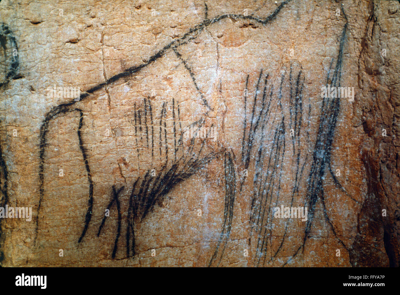 CAVE ART: MAMMOTH. /nMammoth painted in black outline. Detail from the Black Frieze in the Pech Merle cave, Lot, France, c15,000 B.C. Stock Photo